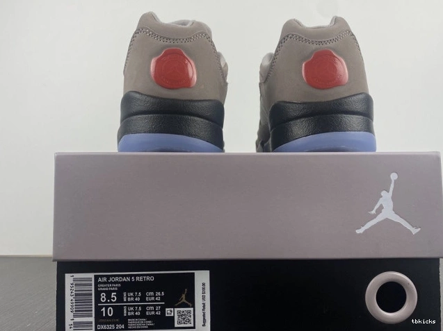 Reps TBK Jordan 5 Low DX6325-204 x PSG Air 0727
